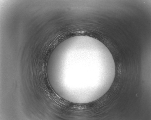 X0000086260559200703291105