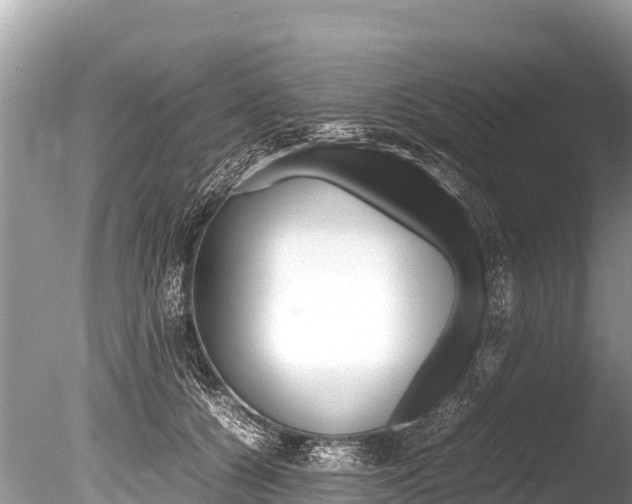 X0000086260560200703291105