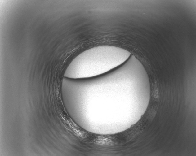 X0000086260569200703291105