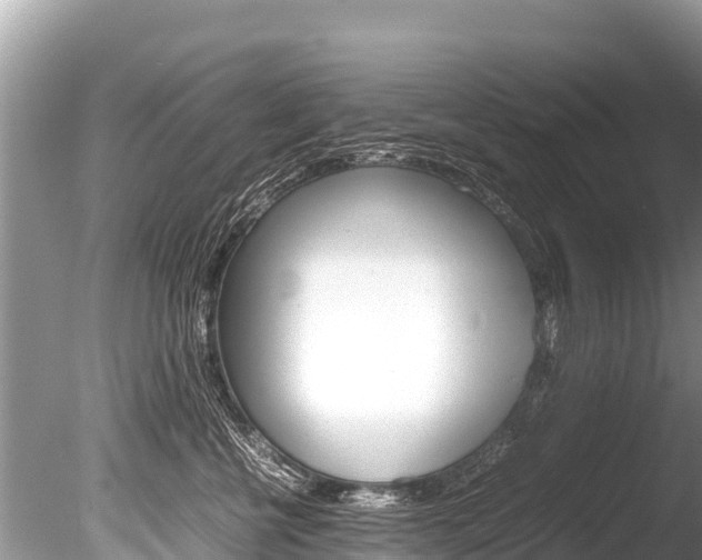 X0000086260570200703291106