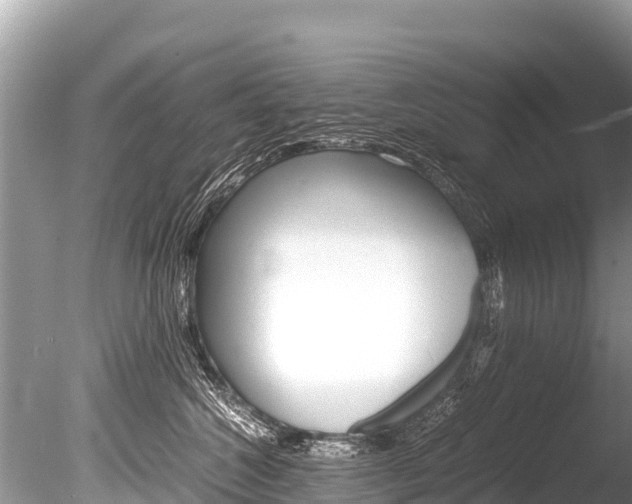 X0000086260572200703291106