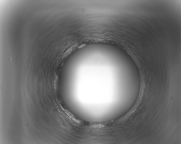X0000086260576200703291106