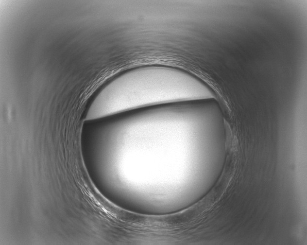 X0000086260577200703291105