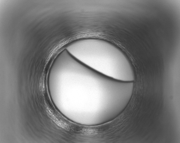 X0000086260582200703291105