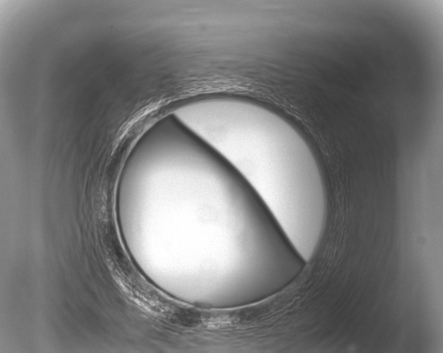 X0000086260587200703291105