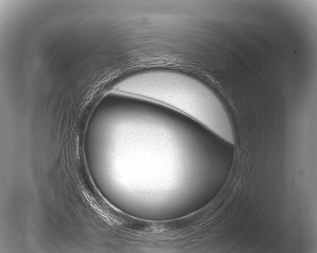 X0000086260589200703291105