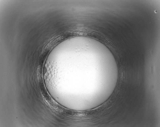 X0000086260594200703291104