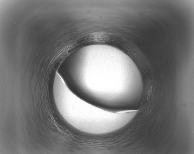 X0000086260595200703291104