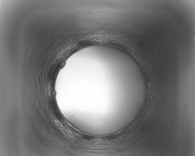 X0000086260597200703291104