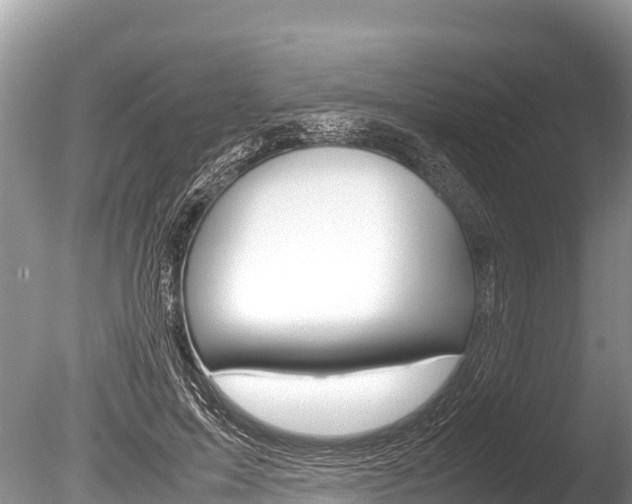 X0000086260599200703291104