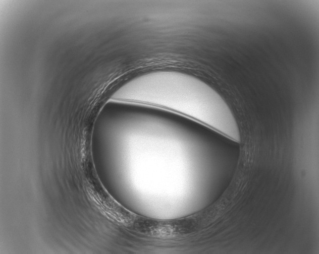X0000086260600200703291104