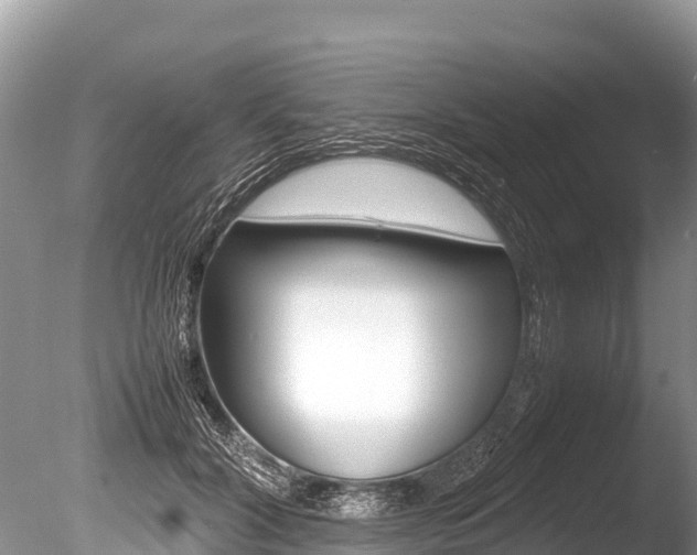X0000086260604200703291104
