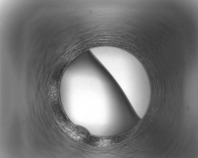 X0000086260609200703291104