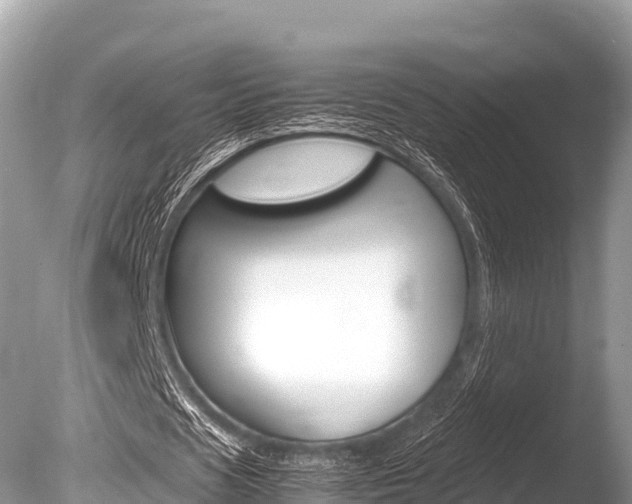 X0000086260625200703291103
