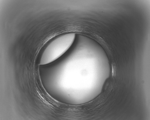 X0000086260627200703291103