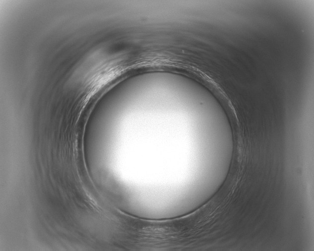 X0000086260629200703291103