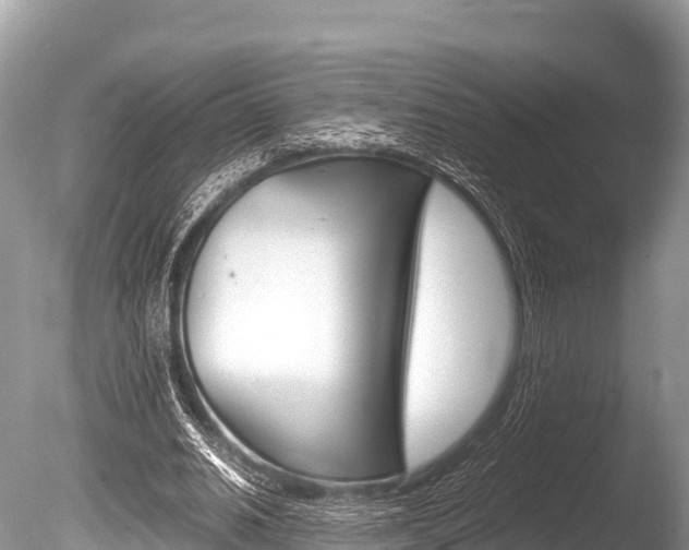 X0000086260630200703291103