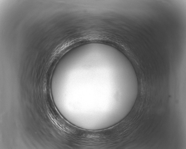 X0000086260631200703291103