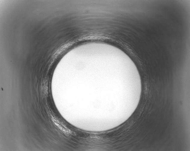 X0000086260632200703291103