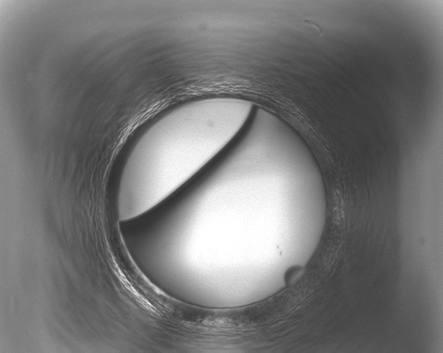 X0000086260634200703291103