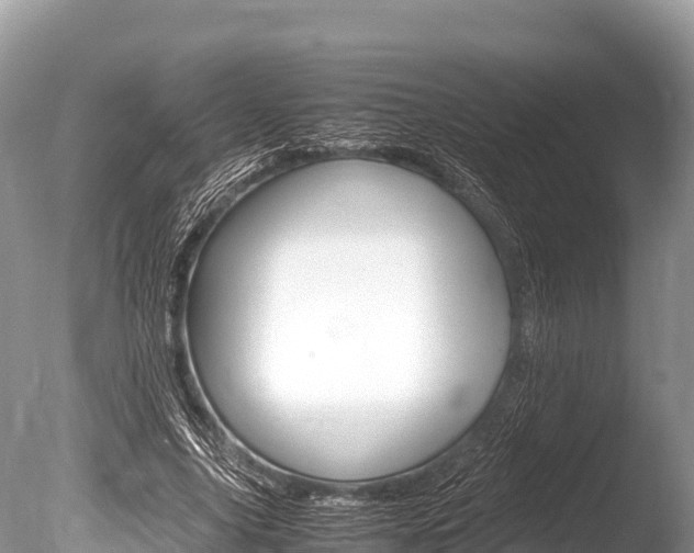 X0000086260635200703291103