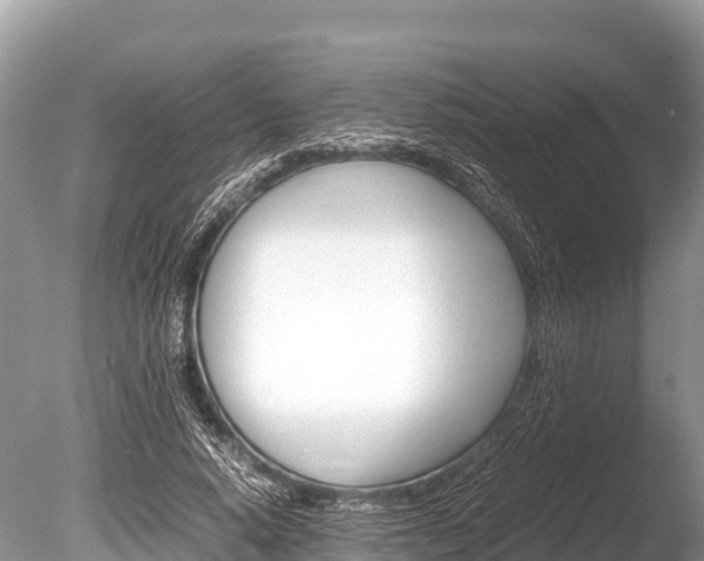 X0000086260640200703291103