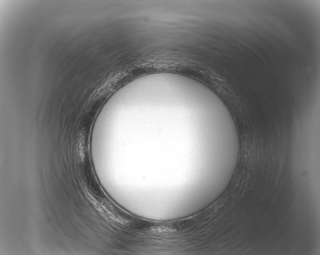 X0000086260644200703291103