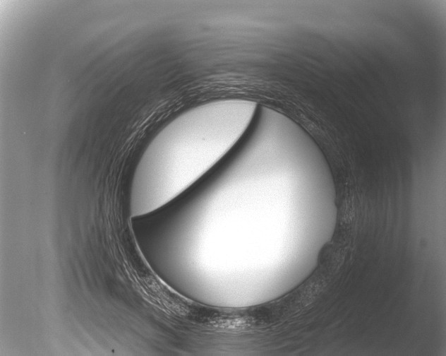 X0000086260646200703291104