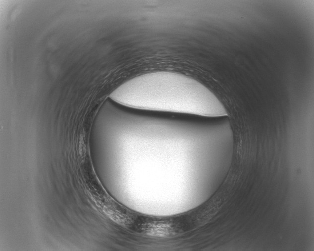 X0000086260651200703291104