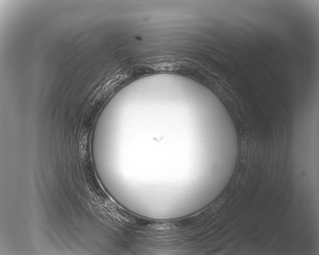 X0000086260652200703291104
