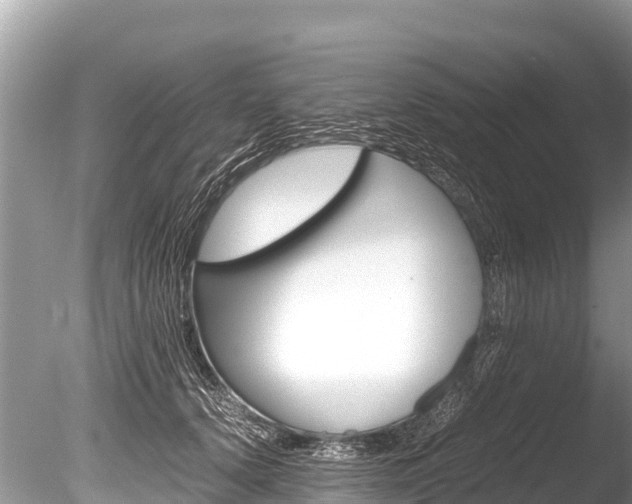 X0000086260656200703291104