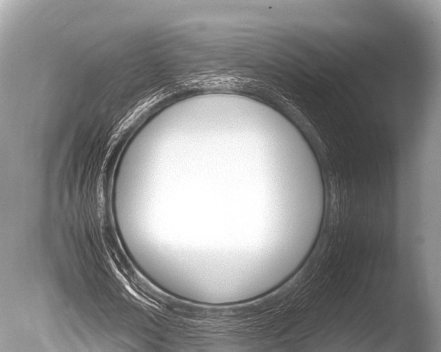 X0000086260674200703291103