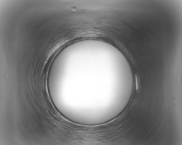 X0000086260675200703291103