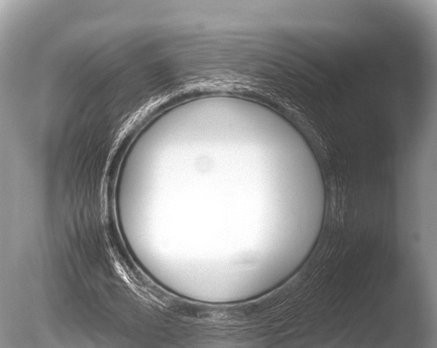 X0000086260678200703291103