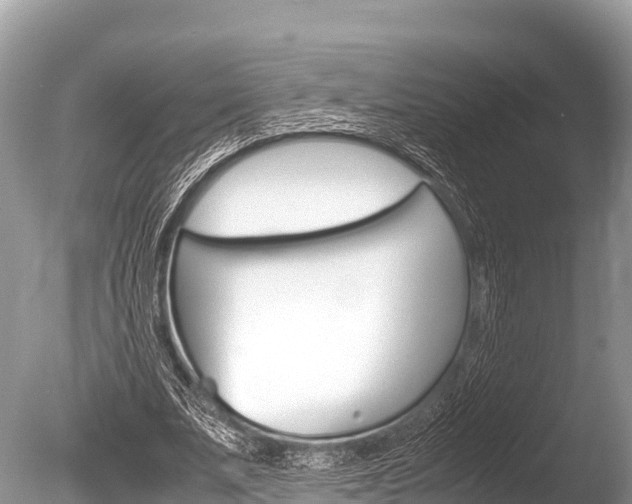X0000086260679200703291103