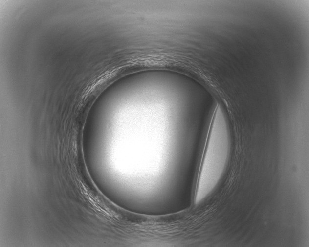 X0000086260681200703291103