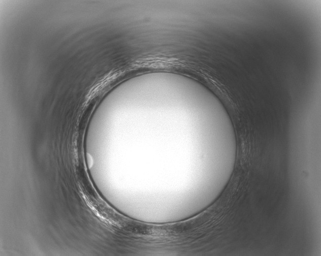 X0000086260682200703291103