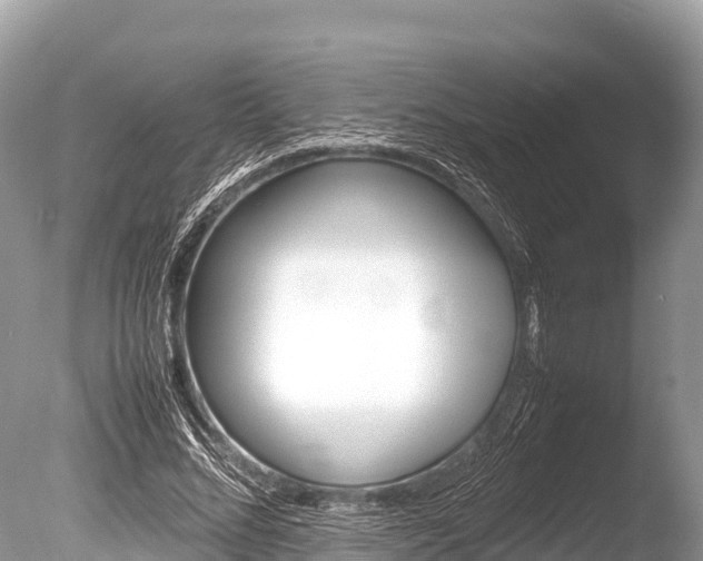 X0000086260684200703291103