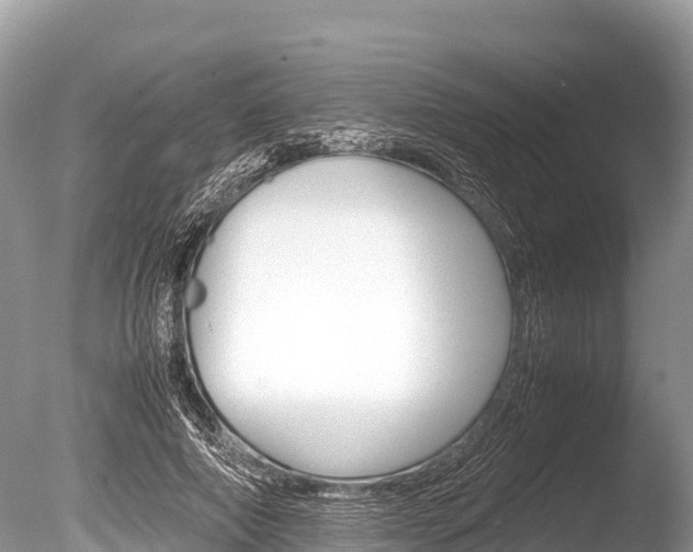 X0000086260690200703291103