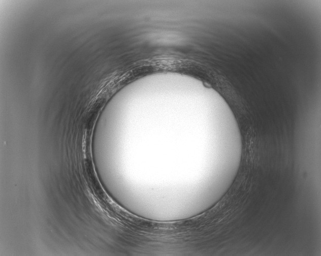X0000086260694200703291103