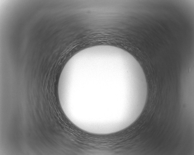 X0000086260705200703291103