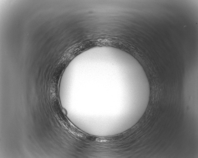 X0000086260706200703291103