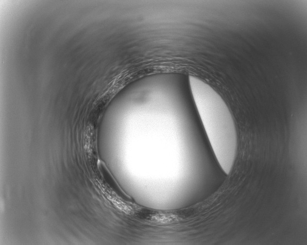 X0000086260712200703291102