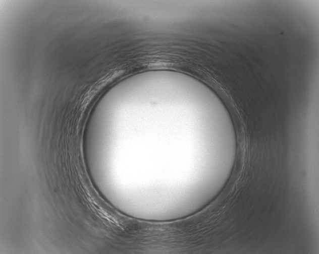 X0000086260721200703291101