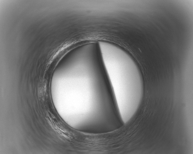 X0000086260723200703291101