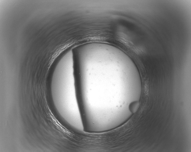 X0000086260725200703291102