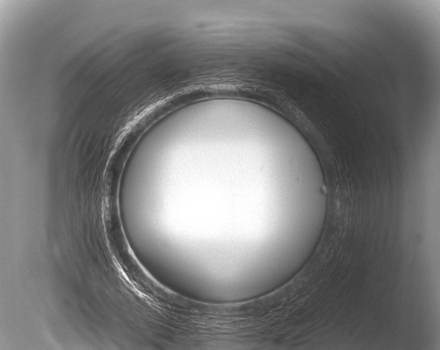X0000086260728200703291102