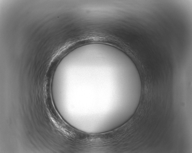 X0000086260730200703291102