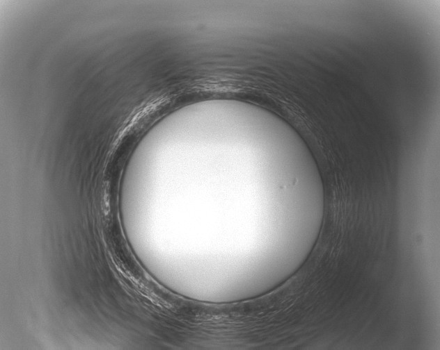 X0000086260731200703291102