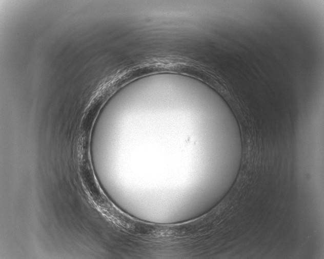 X0000086260736200703291102